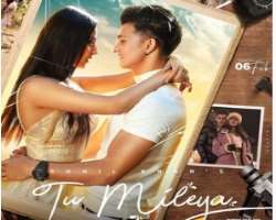 The actress was featured in music videos of several Hindi and Punjabi songs such as Tu Mileya by Sohail Khan and Jiske Liye by B Praak.